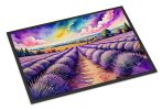 English Lavender in Color Doormat Front Door Mat Indoor Outdoor Rugs for Entryway, Non Slip Washable Low Pile, 24H X 36W