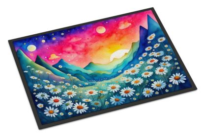 Daisies in Color Doormat Front Door Mat Indoor Outdoor Rugs for Entryway, Non Slip Washable Low Pile, 24H X 36W