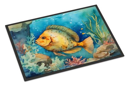 Flounder Doormat Front Door Mat Indoor Outdoor Rugs for Entryway, Non Slip Washable Low Pile, 24H X 36W