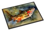 Brook Trout Doormat Front Door Mat Indoor Outdoor Rugs for Entryway, Non Slip Washable Low Pile, 24H X 36W
