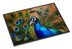 Peacock Doormat Front Door Mat Indoor Outdoor Rugs for Entryway, Non Slip Washable Low Pile, 24H X 36W
