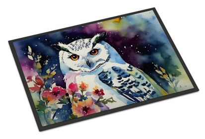 Snowy Owl Doormat Front Door Mat Indoor Outdoor Rugs for Entryway, Non Slip Washable Low Pile, 24H X 36W