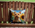 Norwich Terrier in Sunflowers Throw Pillow Machine Washable, Indoor Outdoor Decorative Pillow for Couch, Bed or Patio, 14Hx14W