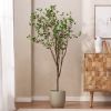180CM Artificial Milan Leaf Bonsai