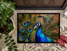 Peacock Doormat Front Door Mat Indoor Outdoor Rugs for Entryway, Non Slip Washable Low Pile, 24H X 36W