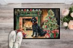 Portuguese Water Dog Cozy Christmas Doormat Front Door Mat Indoor Outdoor Rugs for Entryway, Non Slip Washable Low Pile, 24H X 36W