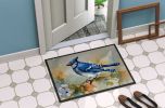 Blue Jay Doormat Front Door Mat Indoor Outdoor Rugs for Entryway, Non Slip Washable Low Pile, 24H X 36W