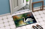 Swan Doormat Front Door Mat Indoor Outdoor Rugs for Entryway, Non Slip Washable Low Pile, 24H X 36W