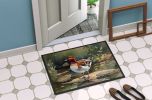 Redhead Duck Doormat Front Door Mat Indoor Outdoor Rugs for Entryway, Non Slip Washable Low Pile, 24H X 36W