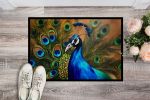 Peacock Doormat Front Door Mat Indoor Outdoor Rugs for Entryway, Non Slip Washable Low Pile, 24H X 36W