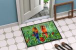 Fred and Freda Parrots Doormat Front Door Mat Indoor Outdoor Rugs for Entryway, Non Slip Washable Low Pile, 24H X 36W