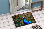 Peacock Doormat Front Door Mat Indoor Outdoor Rugs for Entryway, Non Slip Washable Low Pile, 24H X 36W
