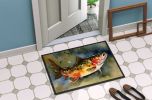 Brook Trout Doormat Front Door Mat Indoor Outdoor Rugs for Entryway, Non Slip Washable Low Pile, 24H X 36W