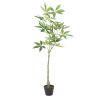 120CM Artificial Pachira Macrocapra