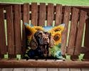 Boykin Spaniel in Sunflowers Throw Pillow Machine Washable, Indoor Outdoor Decorative Pillow for Couch, Bed or Patio, 14Hx14W