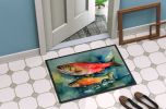 Salmon Doormat Front Door Mat Indoor Outdoor Rugs for Entryway, Non Slip Washable Low Pile, 24H X 36W