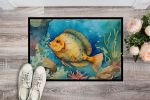 Flounder Doormat Front Door Mat Indoor Outdoor Rugs for Entryway, Non Slip Washable Low Pile, 24H X 36W