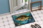 Smallmouth Bass Doormat Front Door Mat Indoor Outdoor Rugs for Entryway, Non Slip Washable Low Pile, 24H X 36W