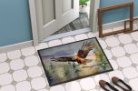 Hawk Doormat Front Door Mat Indoor Outdoor Rugs for Entryway, Non Slip Washable Low Pile, 24H X 36W