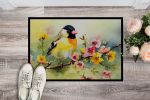 Goldfinch Doormat Front Door Mat Indoor Outdoor Rugs for Entryway, Non Slip Washable Low Pile, 24H X 36W