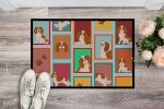 Lots of Blenheim Cavalier Spaniel Doormat Front Door Mat Indoor Outdoor Rugs for Entryway, Non Slip Washable Low Pile, 24H X 36W