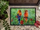 Fred and Freda Parrots Doormat Front Door Mat Indoor Outdoor Rugs for Entryway, Non Slip Washable Low Pile, 24H X 36W