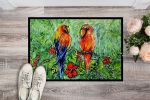 Fred and Freda Parrots Doormat Front Door Mat Indoor Outdoor Rugs for Entryway, Non Slip Washable Low Pile, 24H X 36W