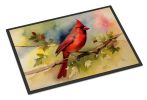 Cardinal Doormat Front Door Mat Indoor Outdoor Rugs for Entryway, Non Slip Washable Low Pile, 24H X 36W