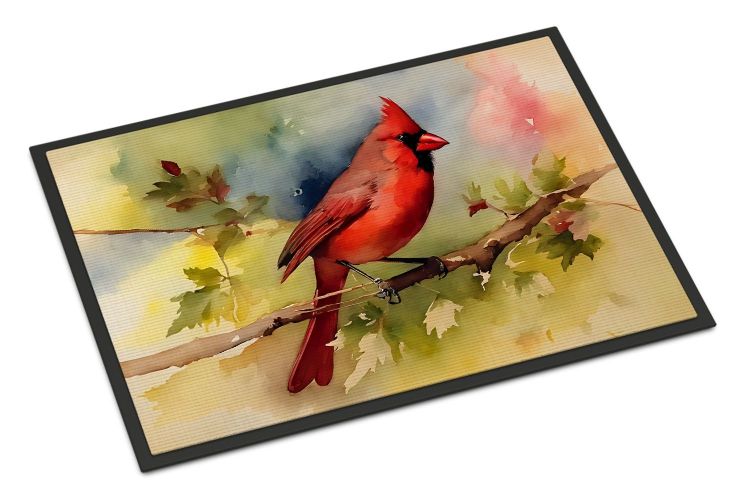 Cardinal Doormat Front Door Mat Indoor Outdoor Rugs for Entryway, Non Slip Washable Low Pile, 24H X 36W
