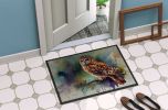Tawny Owl Doormat Front Door Mat Indoor Outdoor Rugs for Entryway, Non Slip Washable Low Pile, 24H X 36W