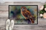 Tawny Owl Doormat Front Door Mat Indoor Outdoor Rugs for Entryway, Non Slip Washable Low Pile, 24H X 36W