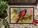 Cardinal Doormat Front Door Mat Indoor Outdoor Rugs for Entryway, Non Slip Washable Low Pile, 24H X 36W