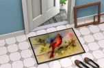 Cardinal Doormat Front Door Mat Indoor Outdoor Rugs for Entryway, Non Slip Washable Low Pile, 24H X 36W